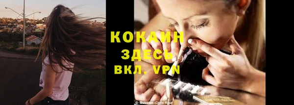 соль ск Козельск