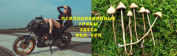 COCAINE Киреевск